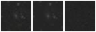Missing file AGC731960-custom-montage-W1W2.png