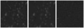 Missing file AGC749452-custom-montage-W1W2.png