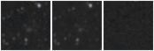 Missing file GAMA220751-custom-montage-W1W2.png