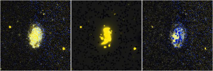 Missing file NGC4162-custom-montage-FUVNUV.png
