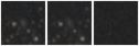 Missing file PGC038779-custom-montage-W1W2.png