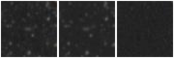 Missing file PGC1410554-custom-montage-W1W2.png