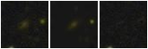 Missing file PGC1441122-custom-montage-FUVNUV.png