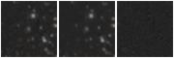 Missing file PGC1537492-custom-montage-W1W2.png