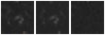 Missing file PGC1674681-custom-montage-W1W2.png