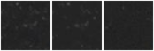 Missing file PGC1696046-custom-montage-W1W2.png