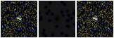 Missing file PGC1724251-custom-montage-FUVNUV.png