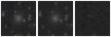 Missing file PGC2145586-custom-montage-W1W2.png