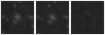Missing file PGC2485185-custom-montage-W1W2.png