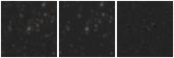 Missing file PGC2501589-custom-montage-W1W2.png