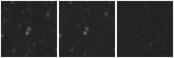 Missing file PGC2815998-custom-montage-W1W2.png