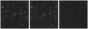 Missing file SDSSJ120841.07+391922.6-custom-montage-W1W2.png