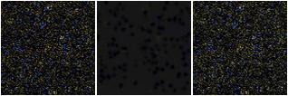 Missing file SDSSJ121058.17+241438.5-custom-montage-FUVNUV.png