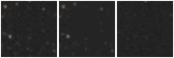 Missing file SDSSJ121123.56+200347.6-custom-montage-W1W2.png