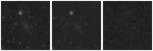 Missing file UGC07160-custom-montage-W1W2.png