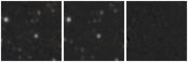 Missing file VFID6423-custom-montage-W1W2.png