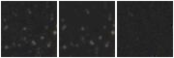 Missing file AGC749454-custom-montage-W1W2.png