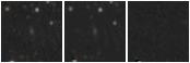 Missing file PGC038980-custom-montage-W1W2.png