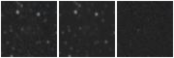 Missing file PGC039012-custom-montage-W1W2.png