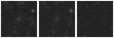 Missing file PGC039104-custom-montage-W1W2.png