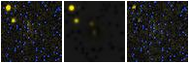 Missing file PGC039144-custom-montage-FUVNUV.png