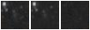 Missing file PGC039144-custom-montage-W1W2.png