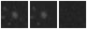 Missing file PGC039153-custom-montage-W1W2.png