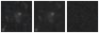 Missing file PGC039250-custom-montage-W1W2.png