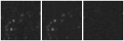 Missing file PGC1122171-custom-montage-W1W2.png