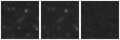 Missing file PGC1183373-custom-montage-W1W2.png