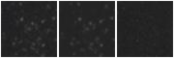 Missing file PGC2236392-custom-montage-W1W2.png