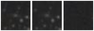 Missing file PGC2299404-custom-montage-W1W2.png