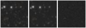 Missing file PGC3294258-custom-montage-W1W2.png