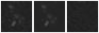 Missing file SDSSJ121201.19+102354.4-custom-montage-W1W2.png
