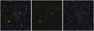 Missing file SDSSJ121224.37+651027.0-custom-montage-FUVNUV.png
