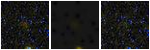 Missing file SDSSJ121517.12+062335.3-custom-montage-FUVNUV.png