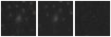 Missing file SDSSJ121537.11+441710.2-custom-montage-W1W2.png