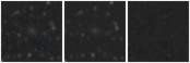 Missing file SDSSJ121543.72+345602.5-custom-montage-W1W2.png