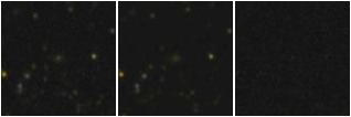 Missing file EVCC0352-custom-montage-FUVNUV.png