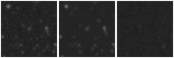 Missing file EVCC0352-custom-montage-W1W2.png