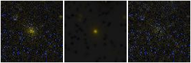 Missing file IC3101-custom-montage-FUVNUV.png