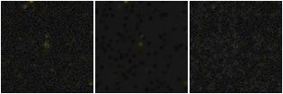 Missing file LSBVCC378-custom-montage-FUVNUV.png