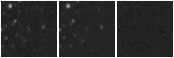 Missing file LSBVCC378-custom-montage-W1W2.png