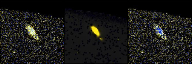 Missing file NGC4238-custom-montage-FUVNUV.png