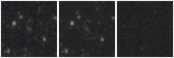 Missing file PGC039333-custom-montage-W1W2.png