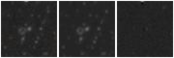 Missing file PGC039351-custom-montage-W1W2.png