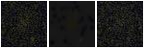 Missing file PGC039539-custom-montage-FUVNUV.png