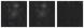 Missing file PGC039539-custom-montage-W1W2.png