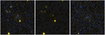 Missing file PGC039542-custom-montage-FUVNUV.png