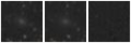 Missing file PGC039638-custom-montage-W1W2.png